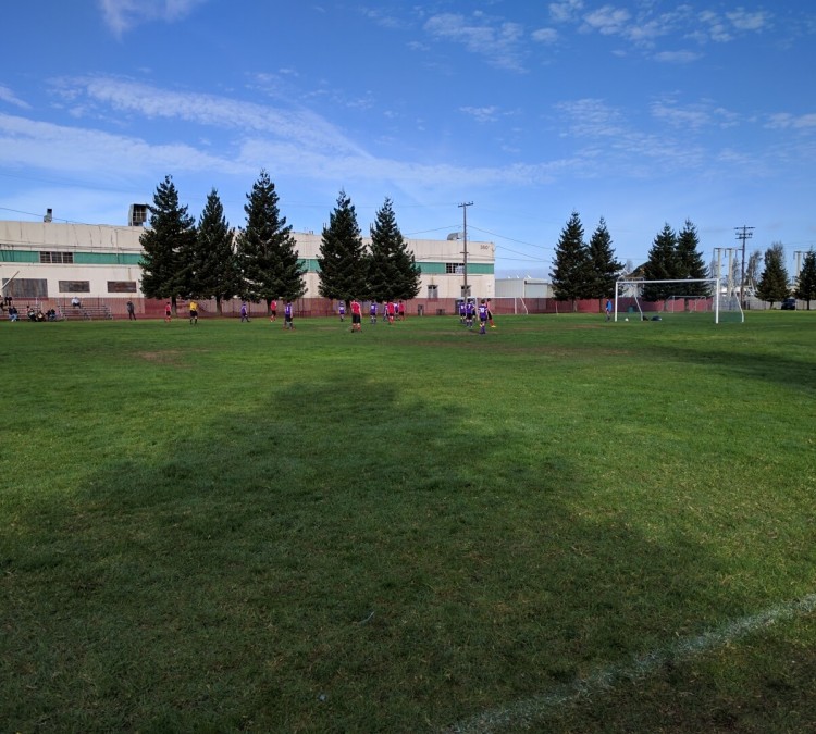main-street-soccer-field-photo